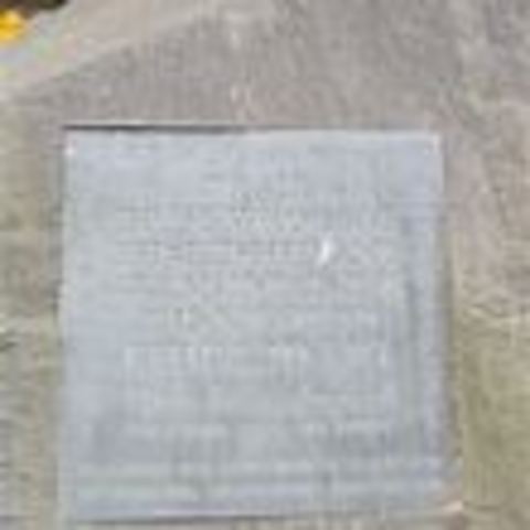 Conscientious Objector