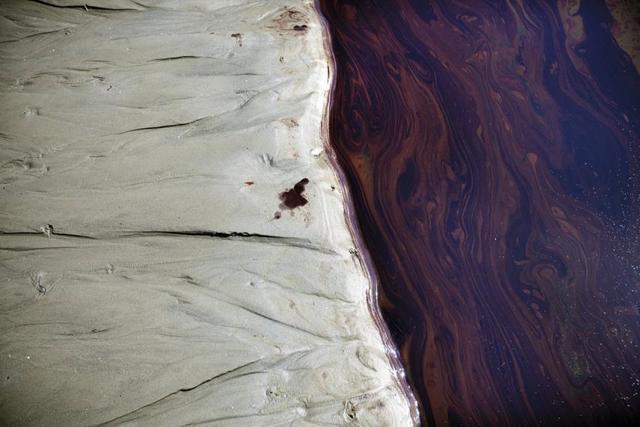 bp oil spill