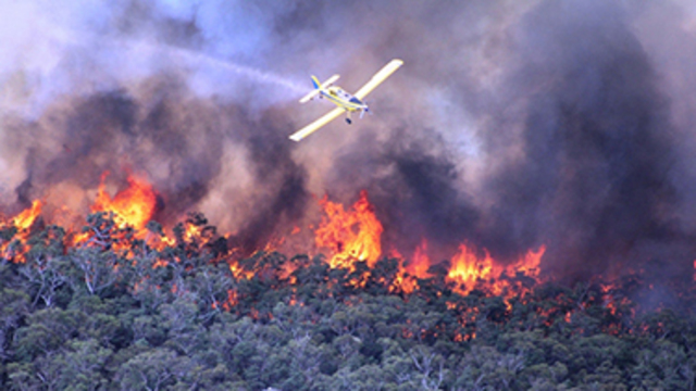 black Saturday Bushfires