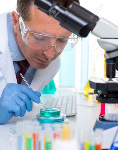 Primeras molecula de ADN