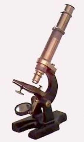 Microscope