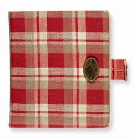 Mr. frank find Diary