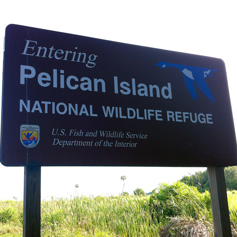 Pelican Island, Florida named first national wildlife refuge
