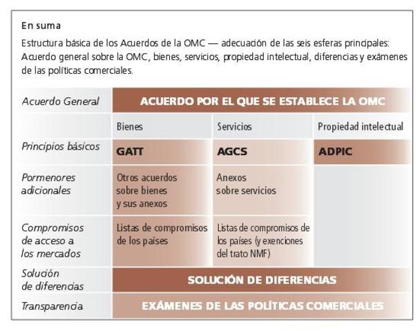 Principios Fundamentales para el comercio en la OMC