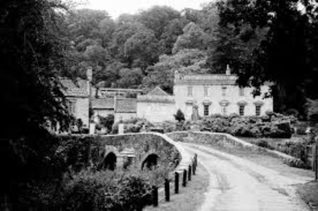 petrograden manifestaldia