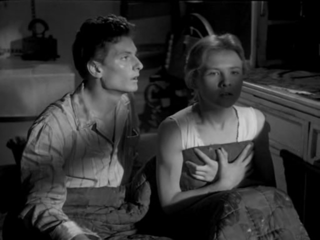 XII. fejezet – Vad éjszaka