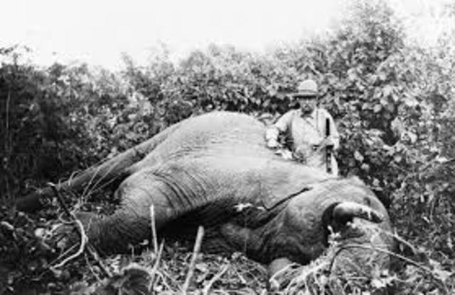 Roosevelt goes to Africa