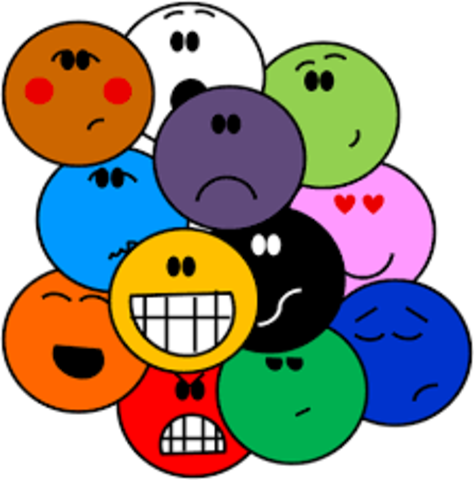 Implementación de nuevos programas