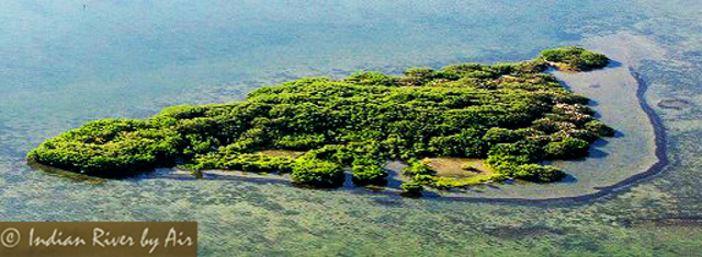 Pelican Island, Florida