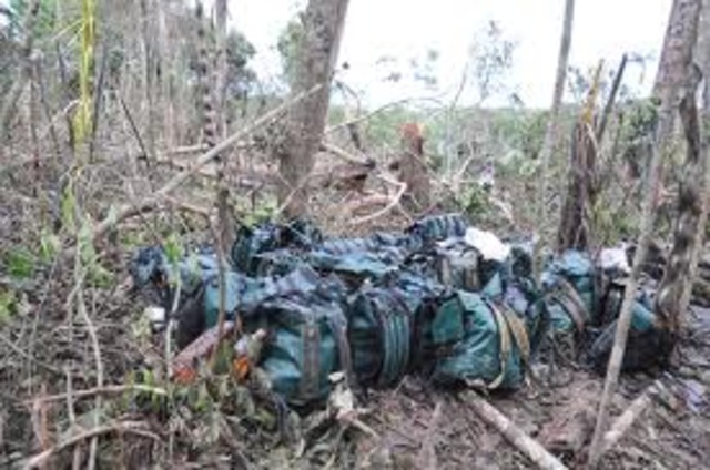 A Bogotá fueron trasladados cuerpos de los 22 guerrilleros muertos en operaciones en Putumayo