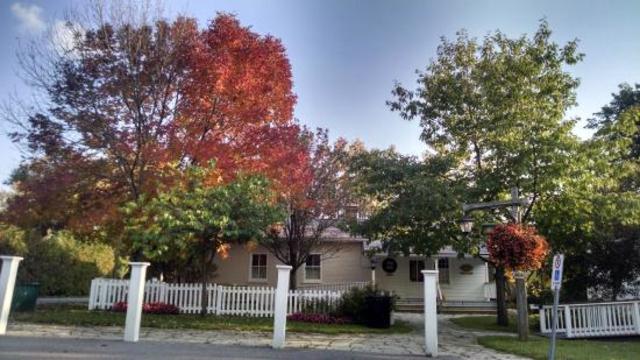 Opening of the Burr-House and Craft Gallery