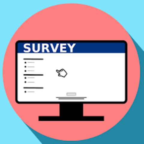 Online Psychological Surveys