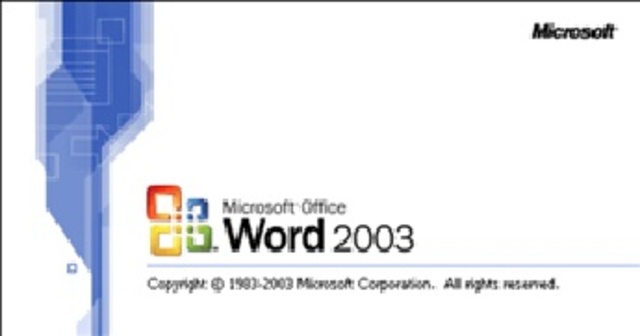 MICROSOFT WORD 2003