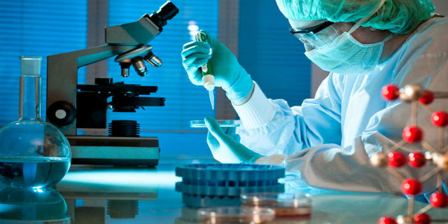 Investigaciones sobre el Cáncer