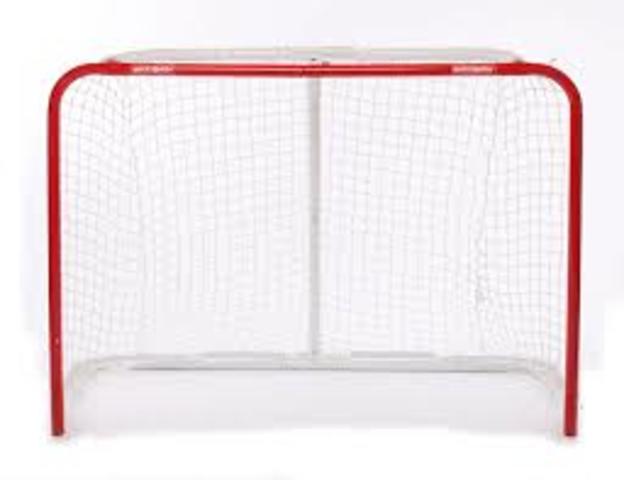 Introduction Of The Goal Net