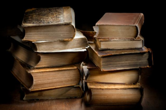 Chapter 3: Scout's Dilema