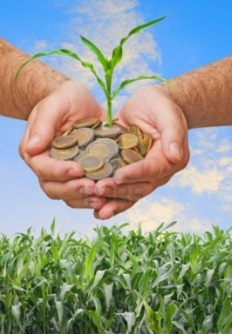 POLÍTICA AGRARIA COMÚN