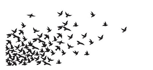 CAMPEÓN LIBERTADORES