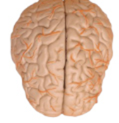 Francis Galton publicó Genio Heredado