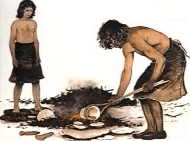 El Homo Erectus Descubrio El Fuego