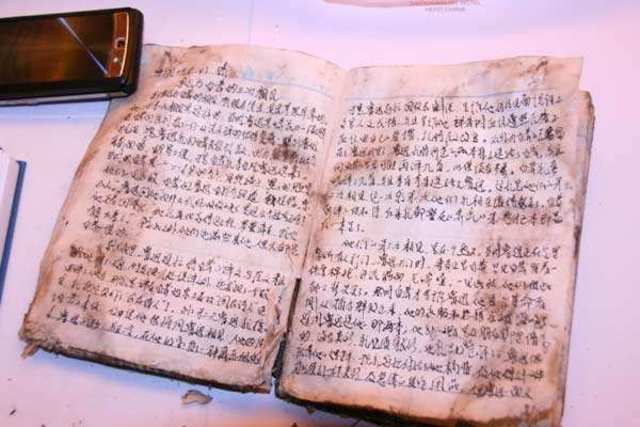 The Journal of Aunt Emily