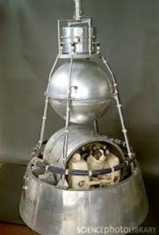 The Space Race - Sputnik 2