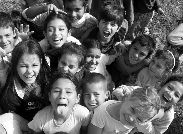 Nacen leyes de proteccion