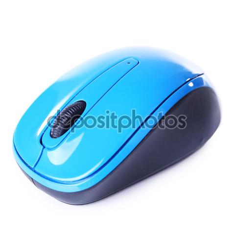 dispositivo de entrada: mause o raton