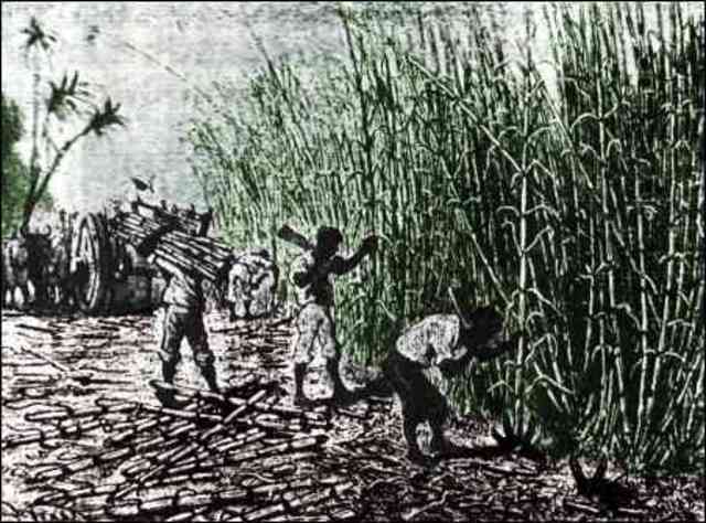 Economical Interests