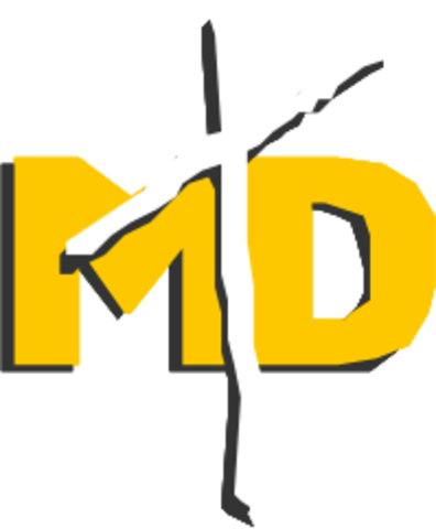 EMPRESAS CREADAS EN LA SEGUNDA MITAD DEL SIGLO XIX