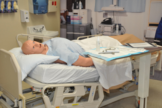 Human Patient Simulator (HPS)