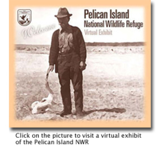 Pelican Island, Florida named first national wildlife refuge