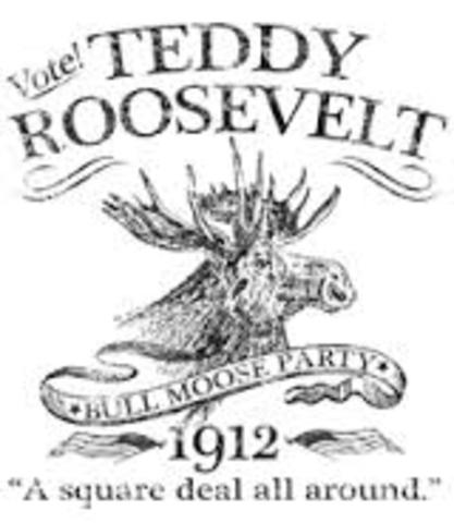 Runs for president, unsuccessfully for bull-moose party-