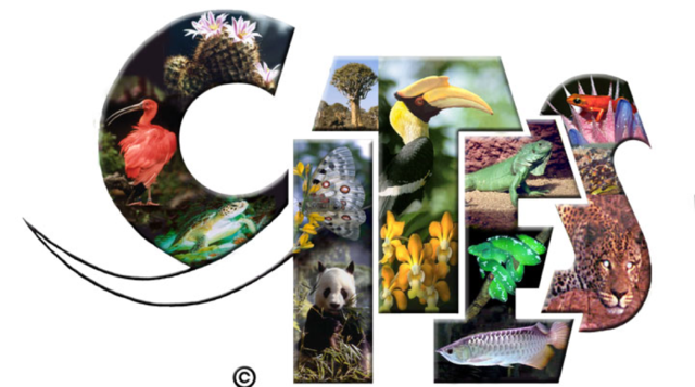 CITES (Plants and Animals)