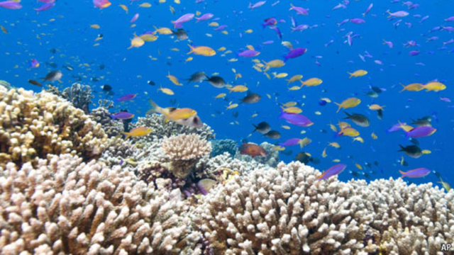 Convention on Biological Diversity (Animals)