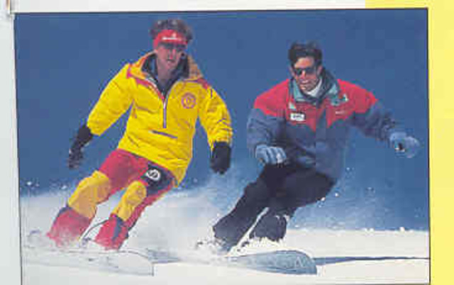 Introduction as a FIS discipline