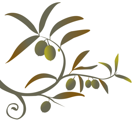 Olive Branch Petition