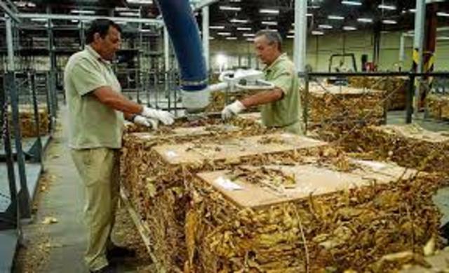 Primera fabrica de tabaco