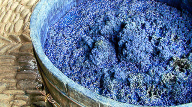 Primeros Establecimientos añilejos