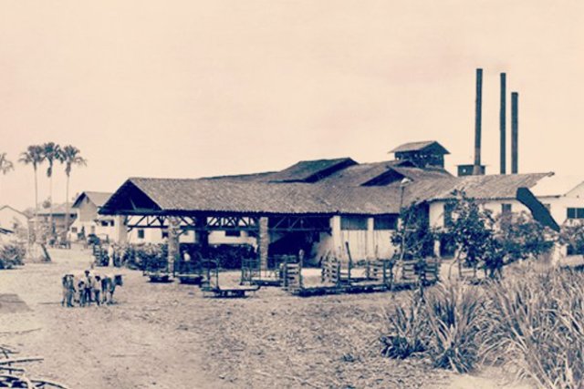 Azúcar Manuelita S A