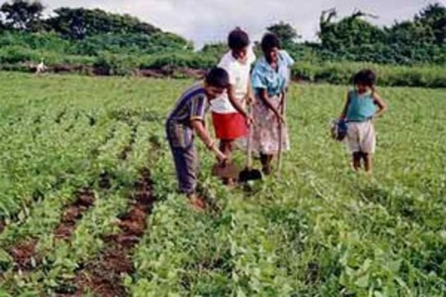 Otra forma de educación...
