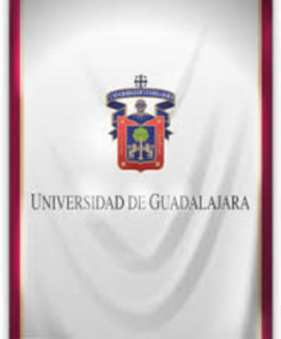 Actualizaci'on del  Plan de Desarrollo Institucional