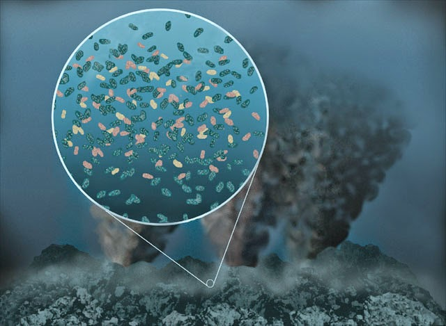 Evolucionan los Procariontes; hay una hidrosfera rodeando la tierra.