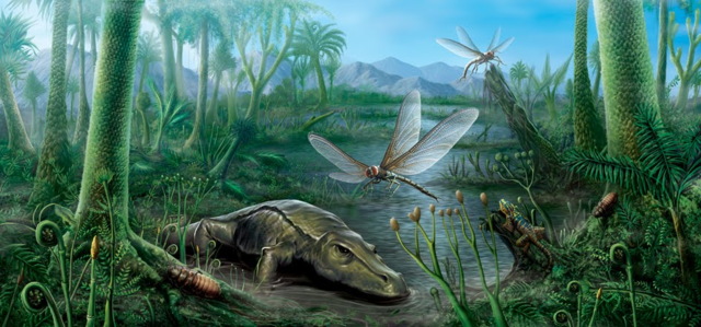 Período Carbonífero; importante radiación de insectos