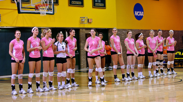 Defensive Speacialist Role "Libero"