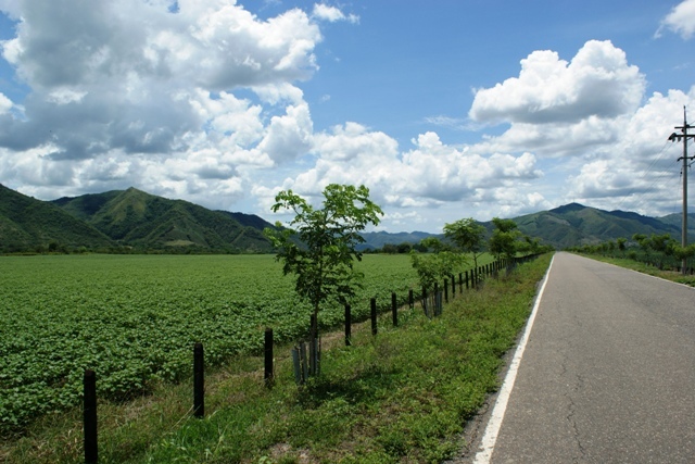 Gobierno nacional asignó 80 mil millones de pesos para los predios de la vía Bogotá - Girardot