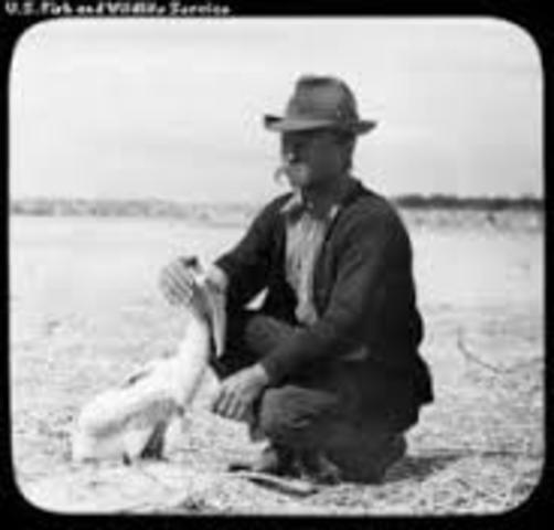 Pelican Island, Florida named first national wildlife refuge