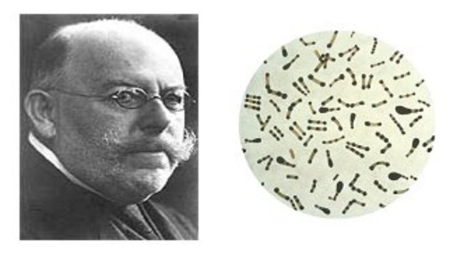 Friederich August Loeffler