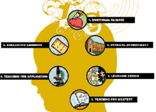 Tipos de estudio CUALITATIVOS