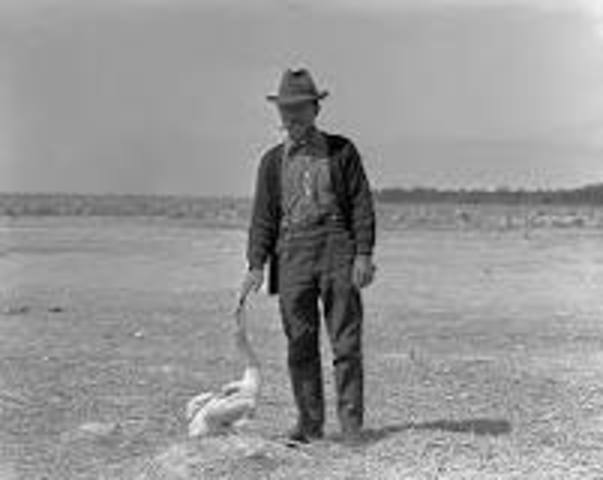 Pelican Island, Florida named first national wildlife refuge